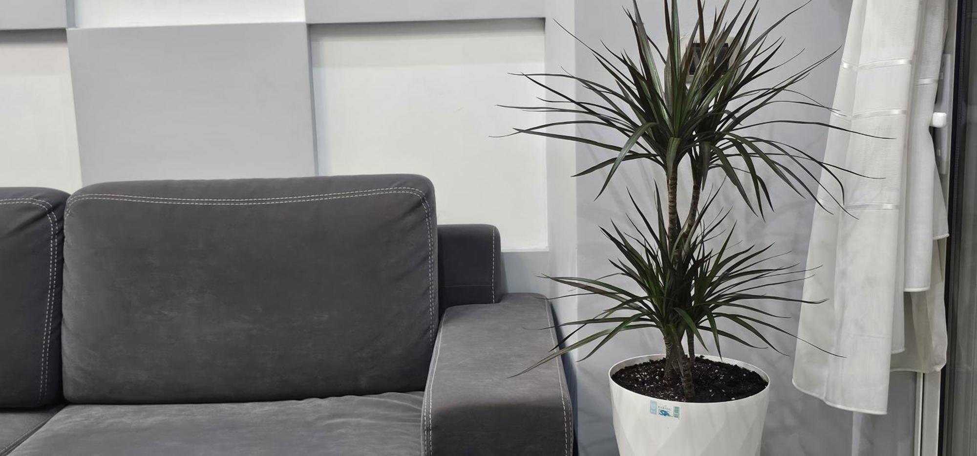 Alpha Seaside Apartment Saranda Zewnętrze zdjęcie